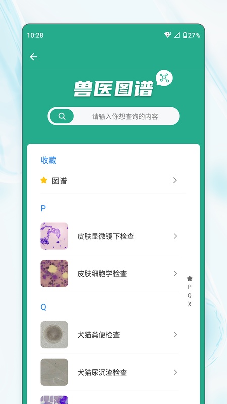 宠壹堂