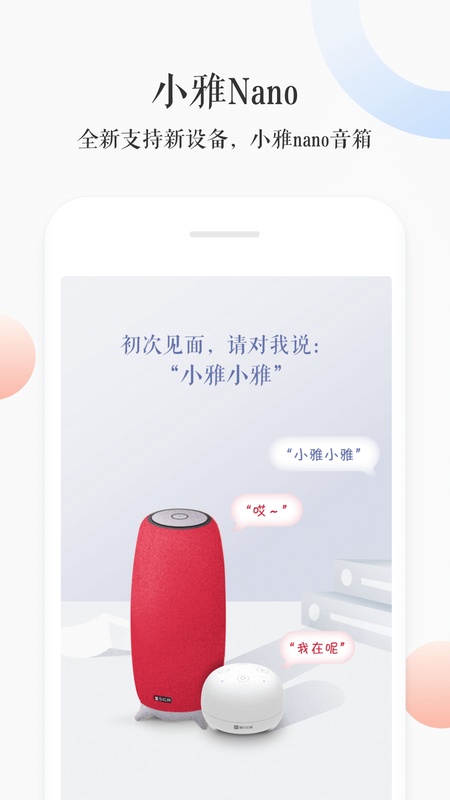 小雅