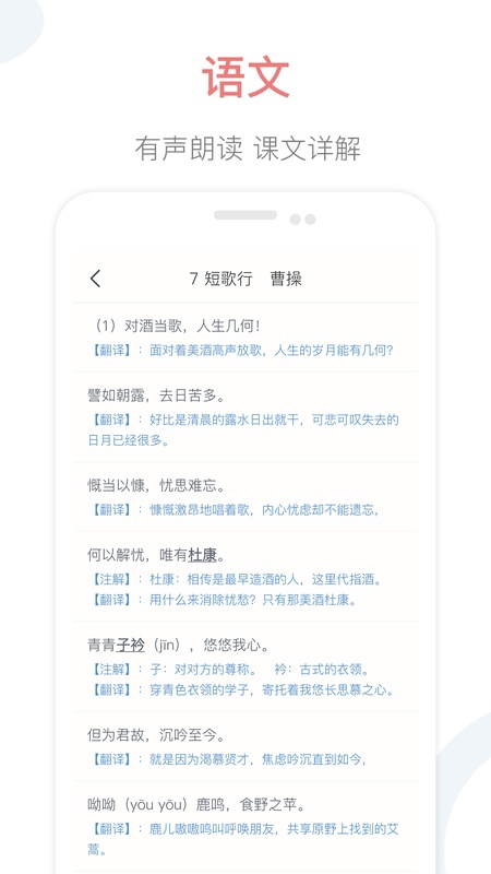 掌上高中