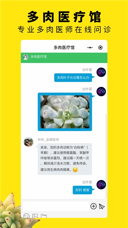 多肉圈