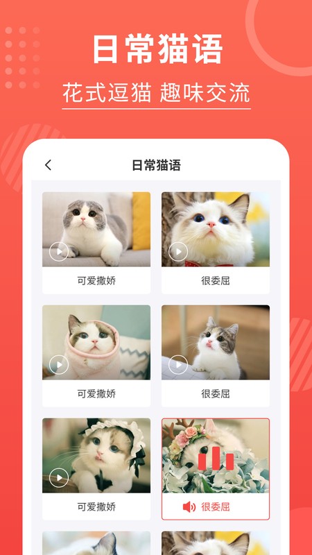猫猫翻译器