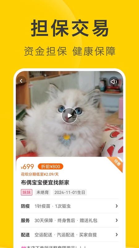 买只宠物