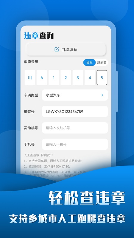 查违章123