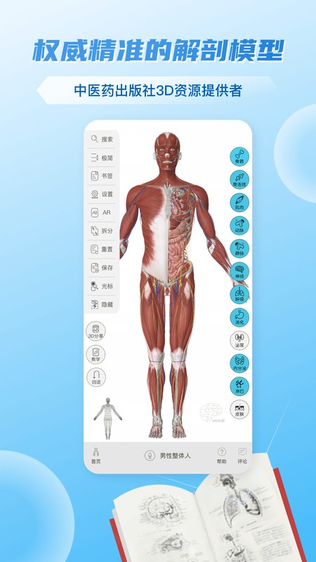 维萨里3D解剖