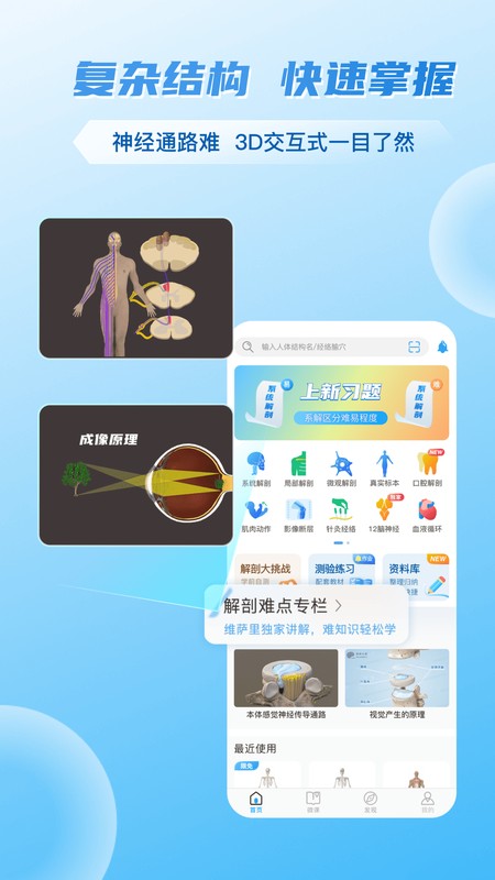 维萨里3D解剖