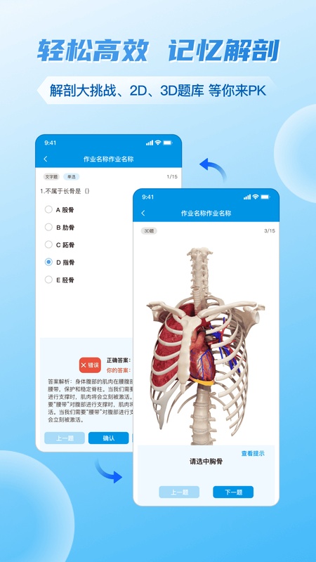 维萨里3D解剖